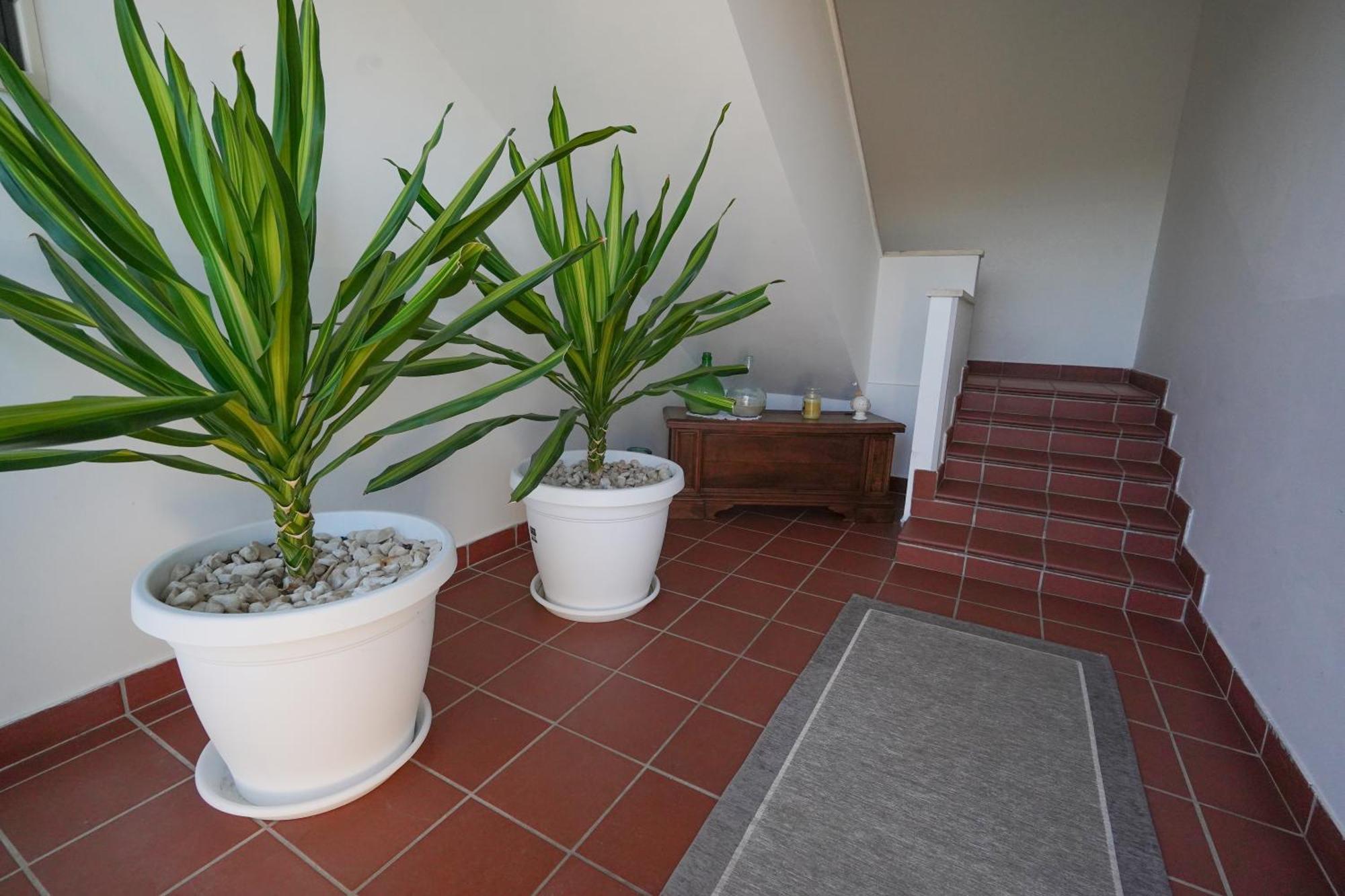 Silvia Casa Vacanze Porto Cesareo Dış mekan fotoğraf